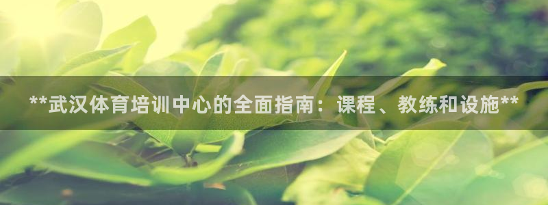欧陆娱乐百科大全：**武汉体育培训中心的全面指南：课