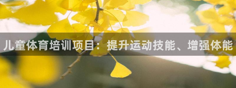 欧陆娱乐打什么方案赚钱：儿童体育培训项目：提升运动技