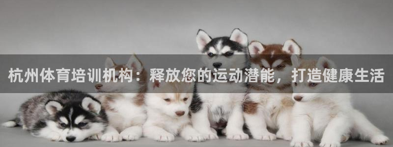 欧陆娱乐客服：杭州体育培训机构：释放您的运动潜能，打
