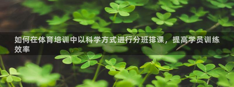 欧陆娱乐客服电话人工服务：如何在体育培训中以科学方式