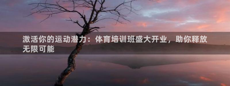 欧陆娱乐游戏特色：激活你的运动潜力：体育培训班盛大开
