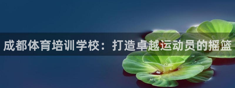 欧陆娱乐总代理电话：成都体育培训学校：打造卓越运动员