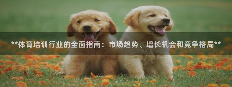 欧陆娱乐能提现嘛现在：**体育培训行业的全面指南：市