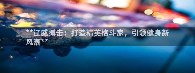 欧陆娱乐打什么方案赚钱：**辽威搏击：打造精英格斗家
