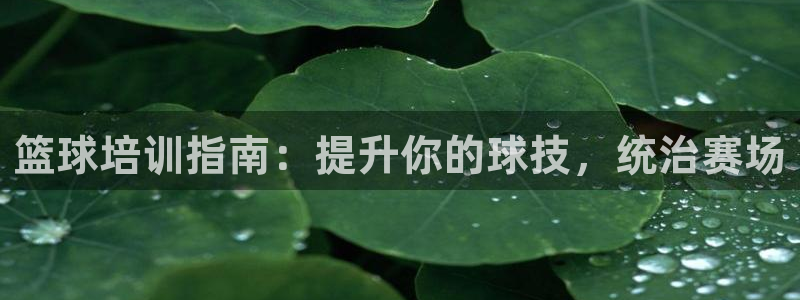欧陆娱乐图片：篮球培训指南：提升你的球技，统治赛场