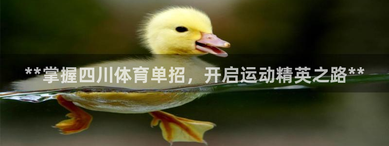 欧陆娱乐里面怎么看打排五：**掌握四川体育单招，开启