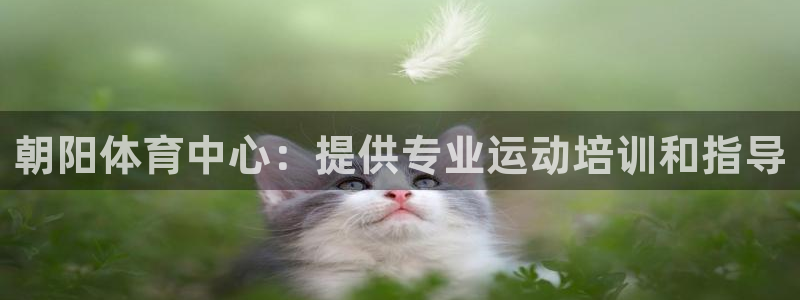 欧陆娱乐能提现嘛是真的吗：朝阳体育中心：提供专业运动