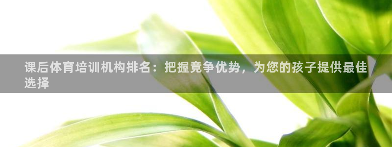 欧陆娱乐总代：课后体育培训机构排名：把握竞争优势，为