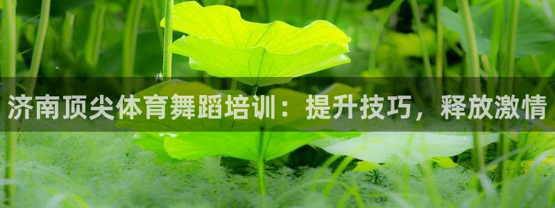 欧陆软件官网：济南顶尖体育舞蹈培训：提升技巧，释放激