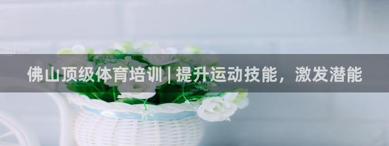 欧陆娱乐登陆官网：佛山顶级体育培训 | 提升运动技能