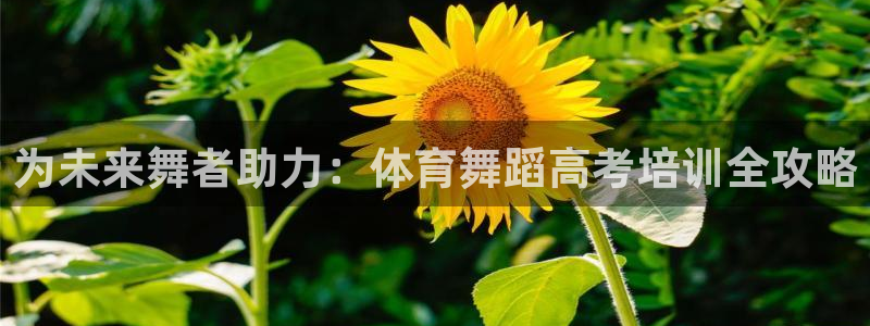 欧陆娱乐登录注册平台有哪些：为未来舞者助力：体育舞蹈