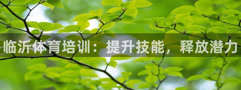 欧陆娱乐平台登录：临沂体育培训：提升技能，释放潜力