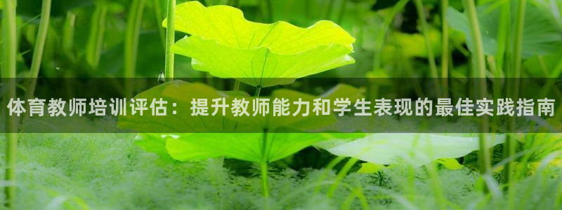 欧陆娱乐app打不开怎么回事儿：体育教师培训评估：提