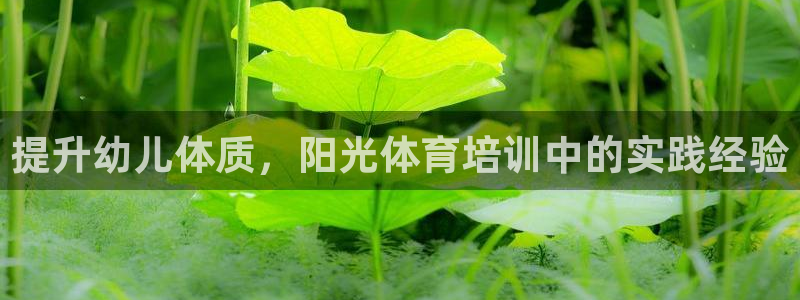 欧陆娱乐能赚钱吗：提升幼儿体质，阳光体育培训中的实践经验
