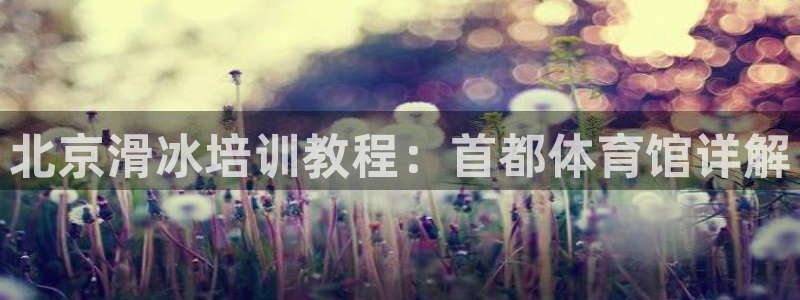 欧陆娱乐能提现嘛现在：北京滑冰培训教程：首都体育馆详