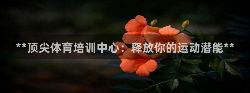 欧陆娱乐分分彩：**顶尖体育培训中心：释放你的运动潜