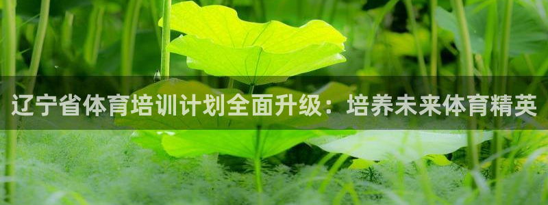 欧陆娱乐app攻略：辽宁省体育培训计划全面升级：培养