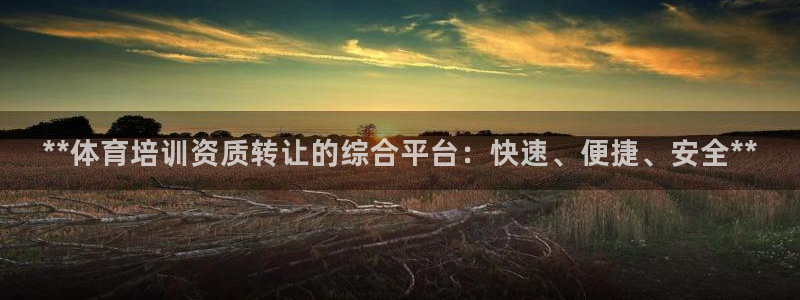 欧陆娱乐平台登录不上去了：**体育培训资质转让的综合