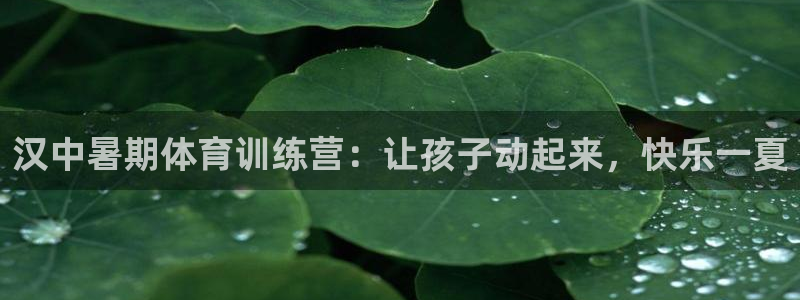欧陆娱乐太阳：汉中暑期体育训练营：让孩子动起来，快乐