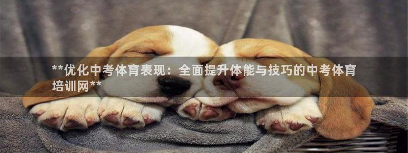 欧陆娱乐app打不开怎么回事：**优化中考体育表现：
