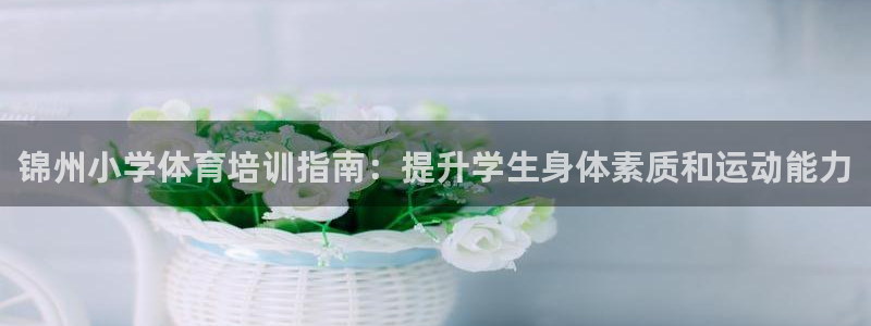欧陆娱乐不让提现怎么办：锦州小学体育培训指南：提升学