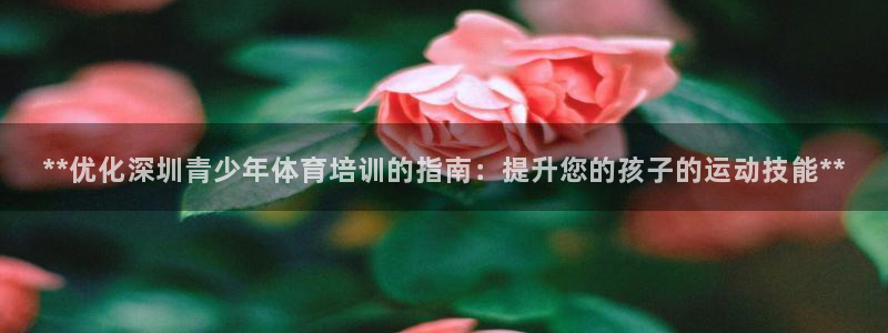 欧陆娱乐共创美好时刻：**优化深圳青少年体育培训的指