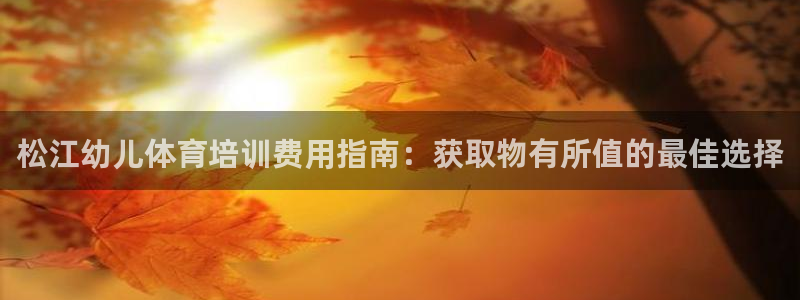 欧陆娱乐挂机项目有哪些：松江幼儿体育培训费用指南：获