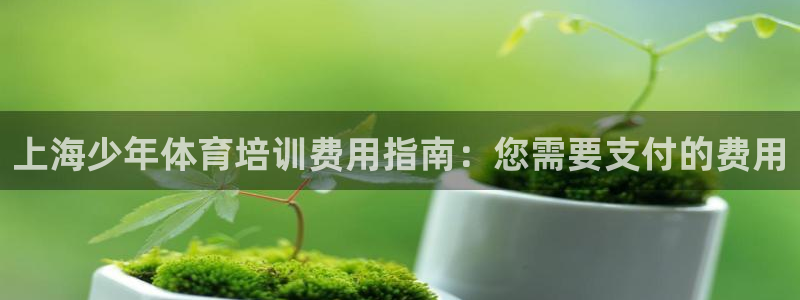 欧陆娱乐客服：上海少年体育培训费用指南：您需要支付的